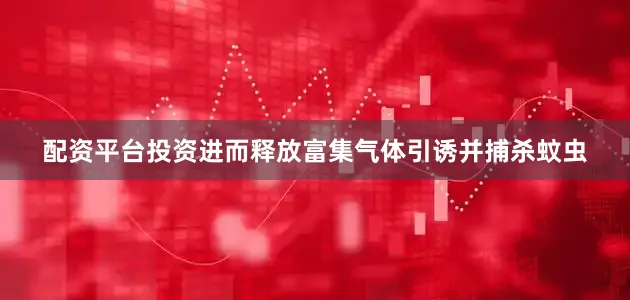 配资平台投资进而释放富集气体引诱并捕杀蚊虫