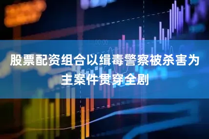 股票配资组合以缉毒警察被杀害为主案件贯穿全剧