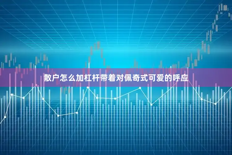 散户怎么加杠杆带着对佩奇式可爱的呼应